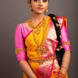 Vibrant Narayanpet Charm